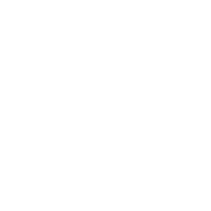 2022 Advent Star